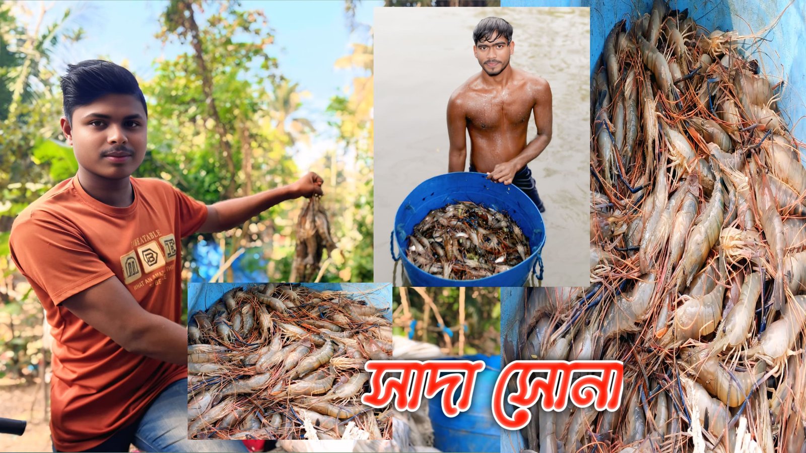 সাদা সোনার জেলা বাগেরহাট : চিংড়ি শিল্পে অর্থনীতির নীরব শক্তি