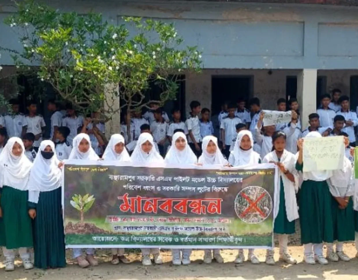 ঈদের ছুটিতে এস এম পাইলট উচ্চ বিদ্যালয়ের গাছ চুরি করে নিয়েগেছে দুর্বৃত্তরা
